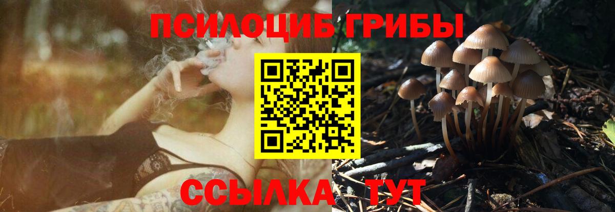 Псилоцибиновые грибы ЛСД Горно-Алтайск